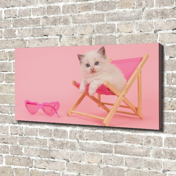 Bild auf leinwand Katze auf einem Liegestuhl