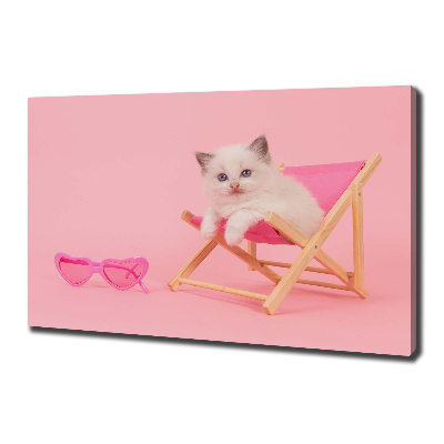 Bild auf leinwand Katze auf einem Liegestuhl