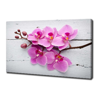 Bild auf leinwand Orchidee auf Holz