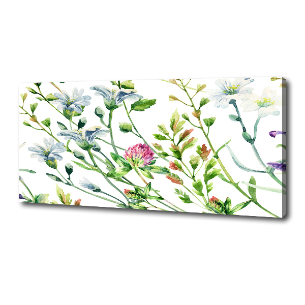 Bild auf leinwand Wildblumen