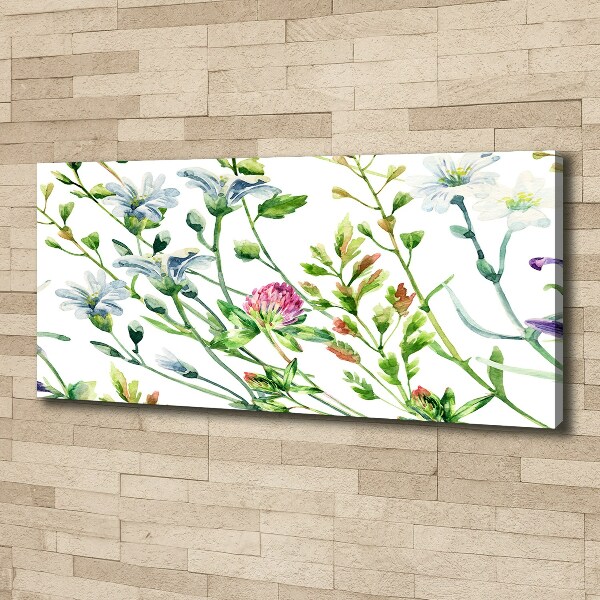 Bild auf leinwand Wildblumen