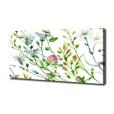 Bild auf leinwand Wildblumen