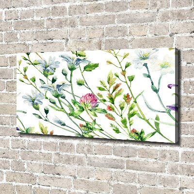 Bild auf leinwand Wildblumen