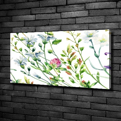 Bild auf leinwand Wildblumen