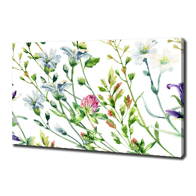 Bild auf leinwand Wildblumen