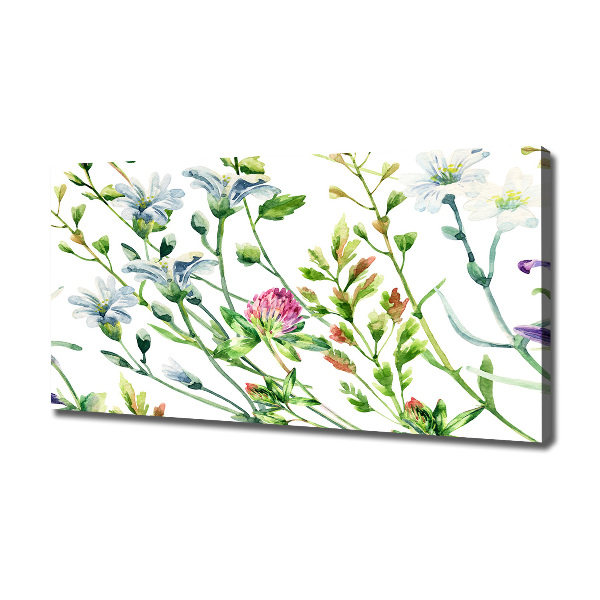 Bild auf leinwand Wildblumen