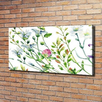 Bild auf leinwand Wildblumen