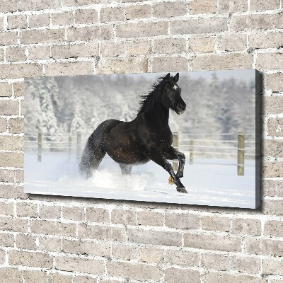 Bild auf leinwand Ein Pferd galoppiert im Schnee