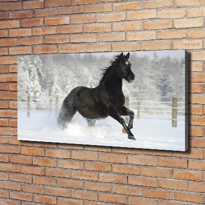 Bild auf leinwand Ein Pferd galoppiert im Schnee