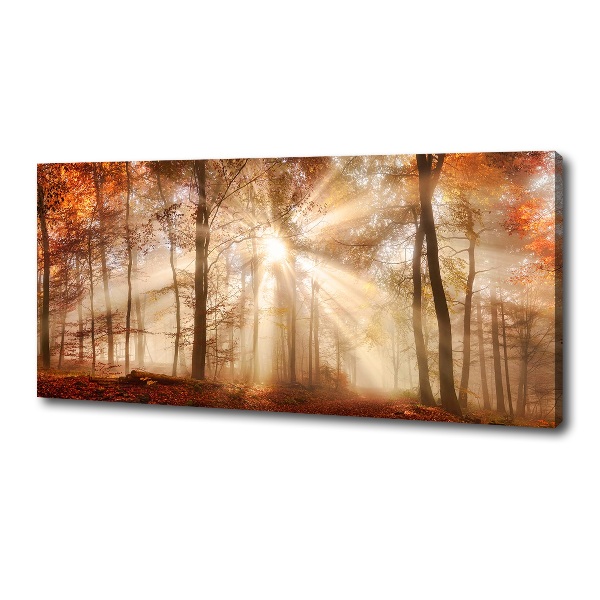 Bild auf leinwand Nebel im Herbstwald
