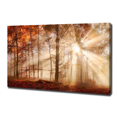 Bild auf leinwand Nebel im Herbstwald