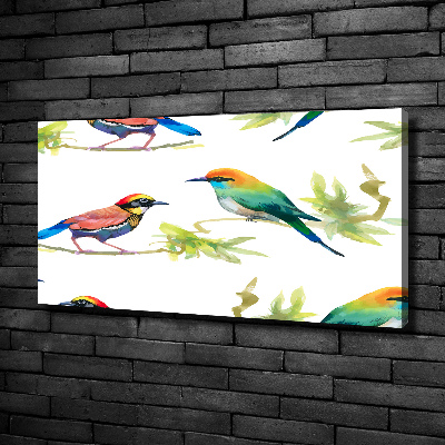 Bild auf leinwand Exotische Vögel