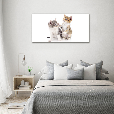 Wandbild Zwei kleine Katzen
