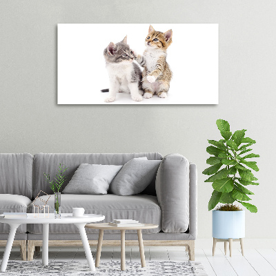 Wandbild Zwei kleine Katzen