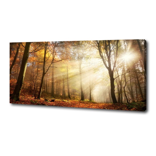 Wandbild Nebel im Wald