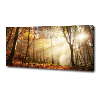 Wandbild Nebel im Wald