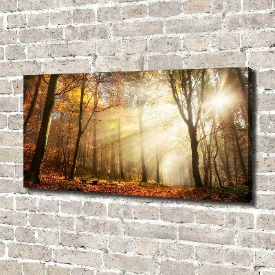 Wandbild Nebel im Wald