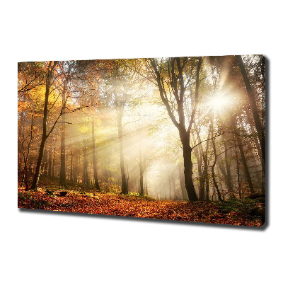 Wandbild Nebel im Wald