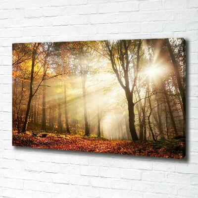 Wandbild Nebel im Wald