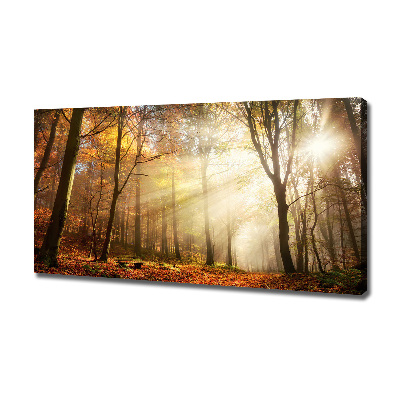 Wandbild Nebel im Wald