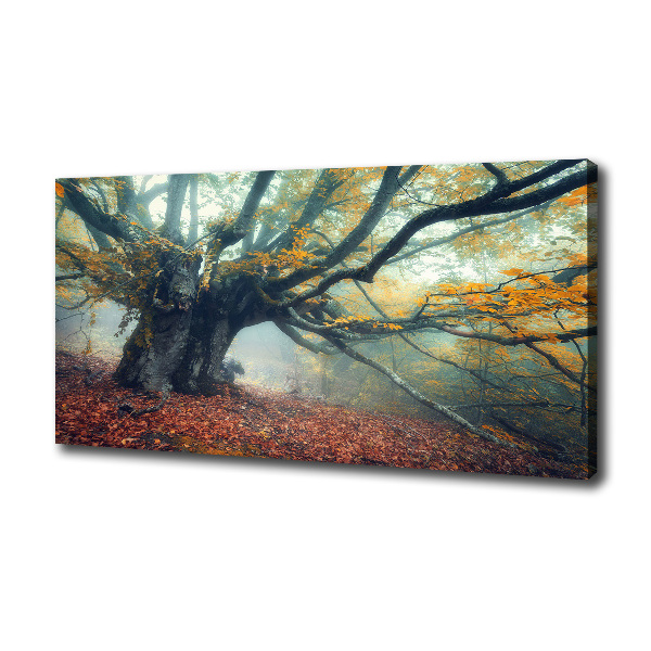 Wandbild Alter Baum