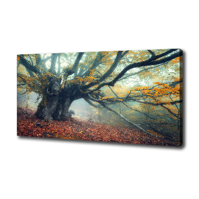 Wandbild Alter Baum
