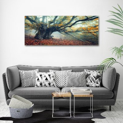 Wandbild Alter Baum