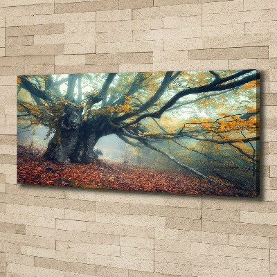 Wandbild Alter Baum