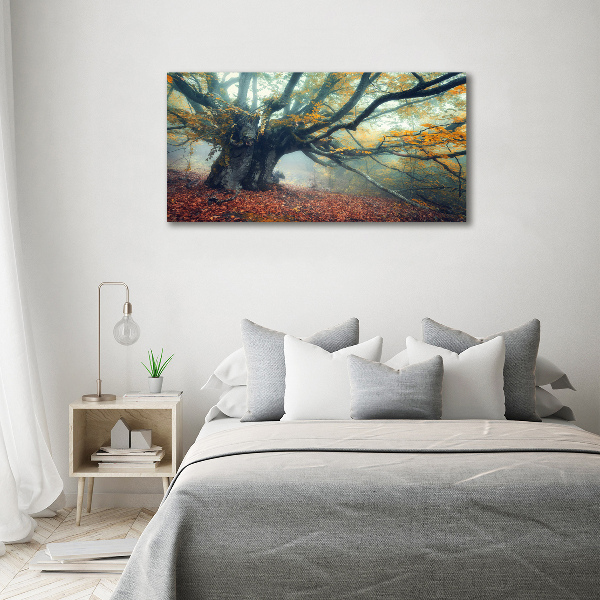 Wandbild Alter Baum