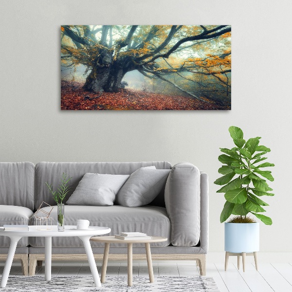 Wandbild Alter Baum