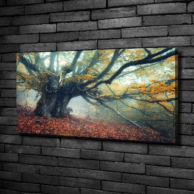 Wandbild Alter Baum