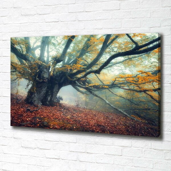 Wandbild Alter Baum