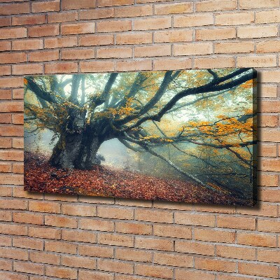 Wandbild Alter Baum