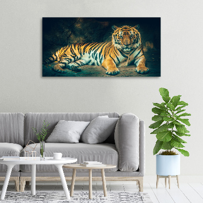 Fotobild Tiger in der Höhle