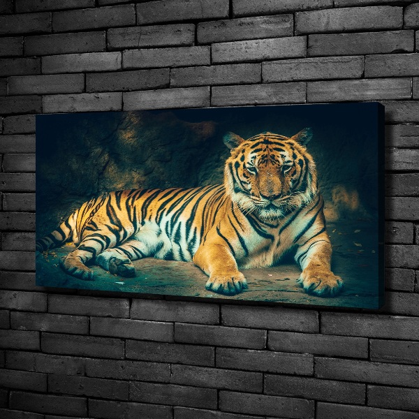Fotobild Tiger in der Höhle
