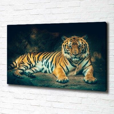 Fotobild Tiger in der Höhle