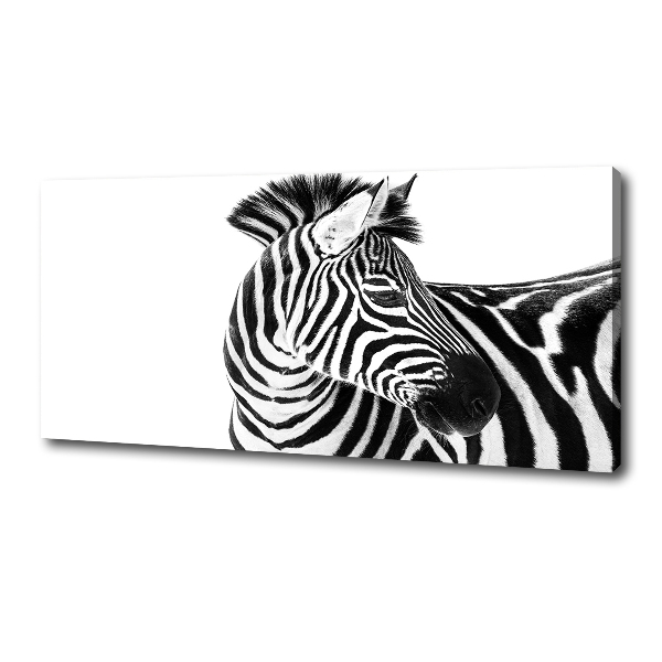 Bild auf leinwand Zebra im Schnee