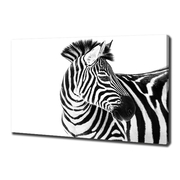 Bild auf leinwand Zebra im Schnee