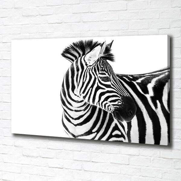 Bild auf leinwand Zebra im Schnee