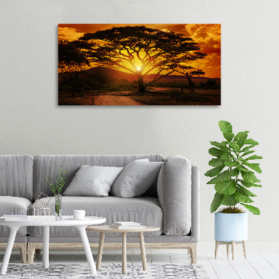 Bild auf leinwand Westafrika