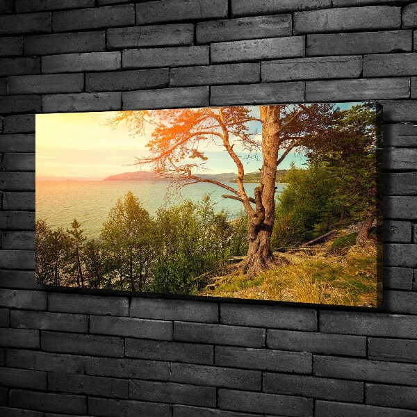 Wandbild Skandinavischer See