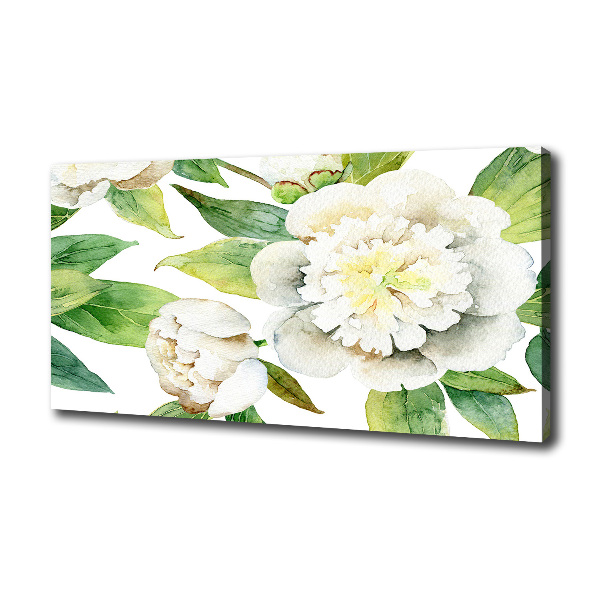 Bild auf leinwand Pfingstrosen