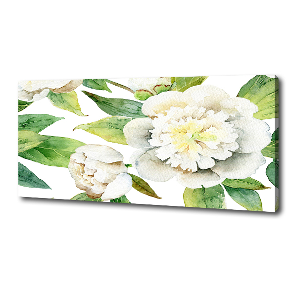 Bild auf leinwand Pfingstrosen