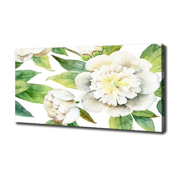 Bild auf leinwand Pfingstrosen