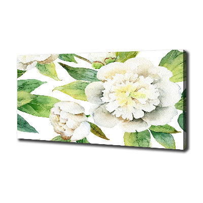 Bild auf leinwand Pfingstrosen