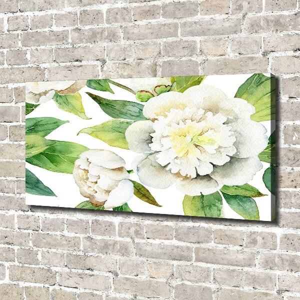 Bild auf leinwand Pfingstrosen