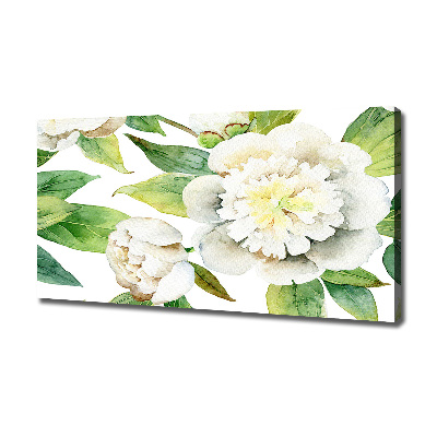 Bild auf leinwand Pfingstrosen