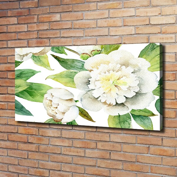 Bild auf leinwand Pfingstrosen