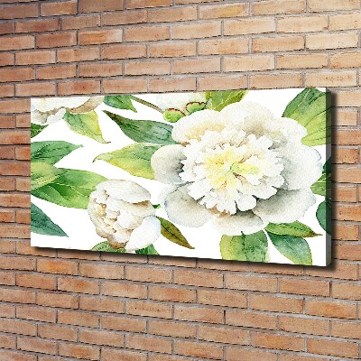 Bild auf leinwand Pfingstrosen