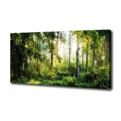 Bild auf leinwand Morgensonne Wald